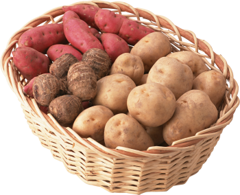 农产品、土豆、红薯、芋头 - PNG派