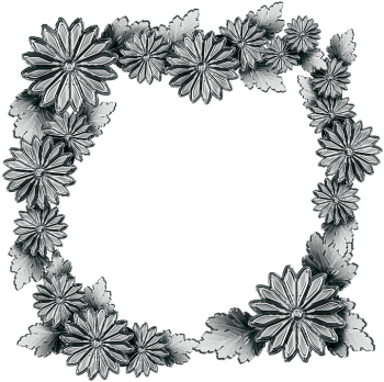 黑白色菊花框架 - PNG派