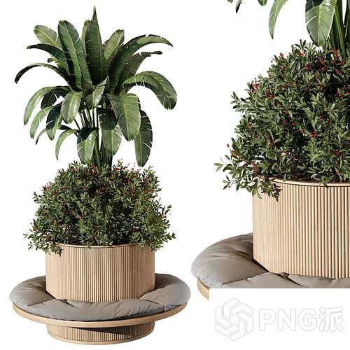 现代绿植盆景3D模型 - PNG派