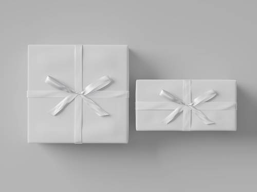 蝴蝶结礼物包装盒PS样机模板 - PNG派