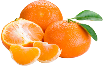 柑橘 - PNG派