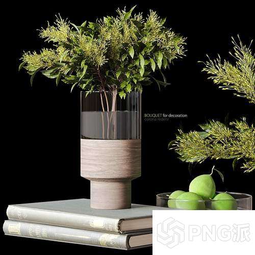 时尚绿植盆景3D模型 - PNG派