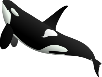 鲸鱼 - PNG派