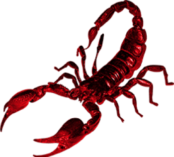 红色蝎子 - PNG派