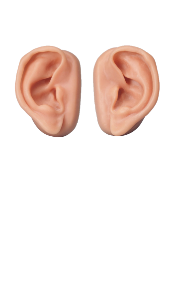耳朵 - PNG派
