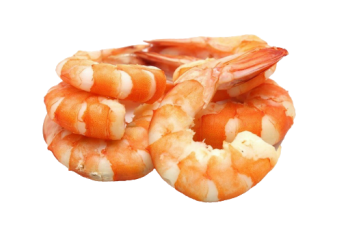 煮熟的虾 - PNG派