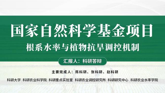 申报答辩PPT模板 - PNG派