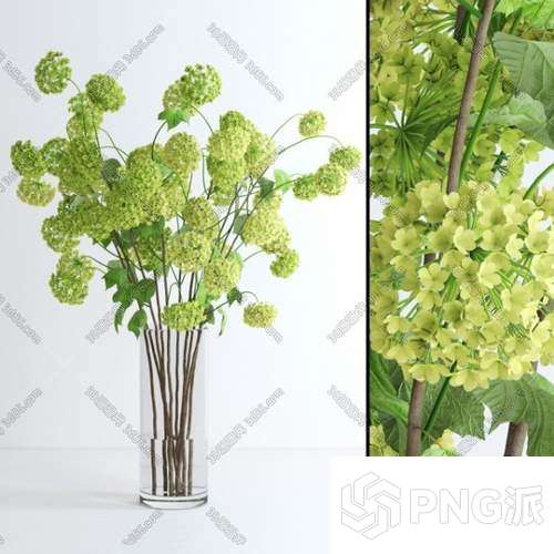 时尚绿植盆景3D模型 - PNG派