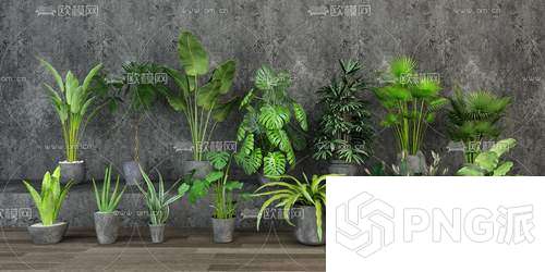 时尚绿植盆景3D模型 - PNG派