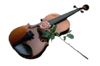 小提琴、乐器 - PNG派