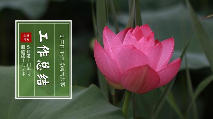 教师年终总结PPT模板 - PNG派