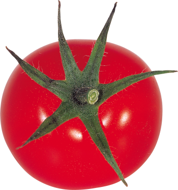 大红番茄 - PNG派