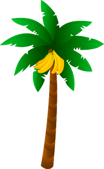 棕榈树 - PNG派