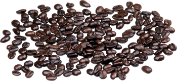 咖啡豆 - PNG派