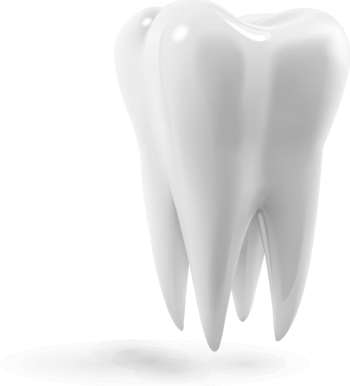 牙齿PNG素材下载_teeth-43770_牙齿png免费下载 - PNG派