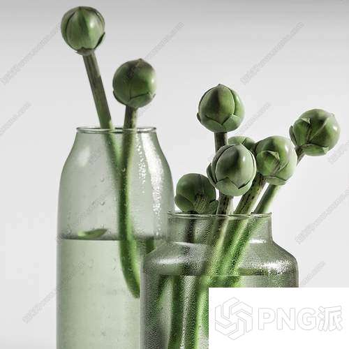 现代绿植盆景3D模型 - PNG派