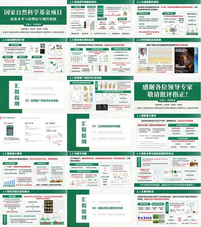 申报答辩PPT模板 - PNG派