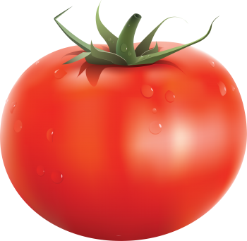 大红番茄 - PNG派