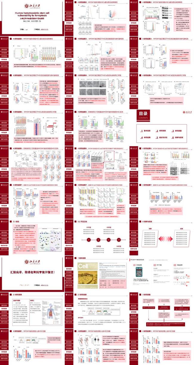 教学科研申报PPT模板 - PNG派