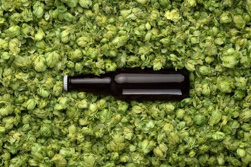 啤酒瓶易拉罐包装PS样机模板 - PNG派