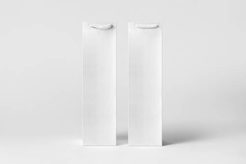 单瓶葡萄酒瓶和手提袋PS样机模板 - PNG派