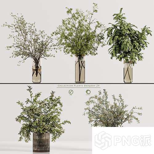 现代绿植盆景3D模型 - PNG派