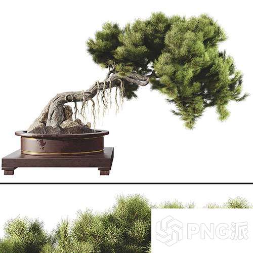时尚绿植盆景3D模型 - PNG派