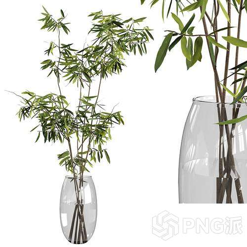 现代绿植盆景3D模型 - PNG派