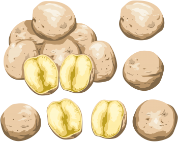 卡通土豆 - PNG派