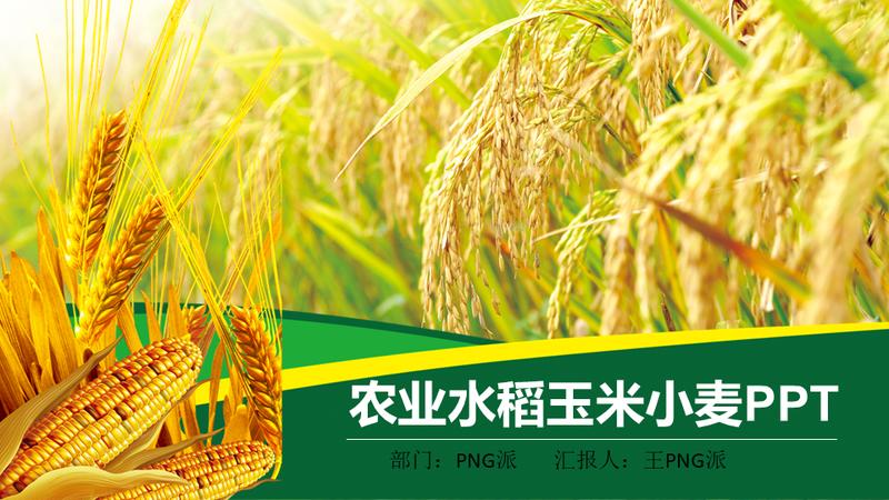 蔬菜水果农业种植PPT模板 - PNG派