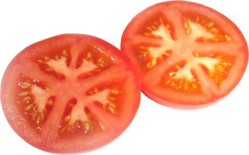 切开的番茄 - PNG派