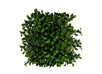灌木植物 - PNG派