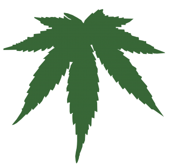 大麻 - PNG派
