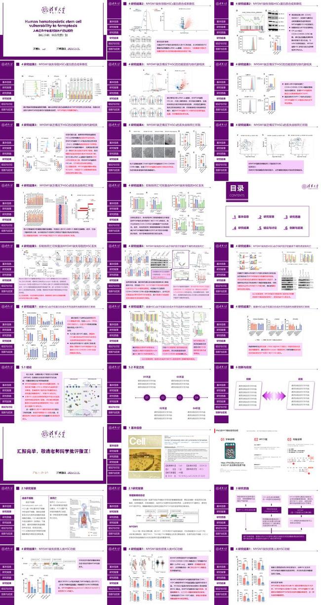 论文答辩PPT模板 - PNG派