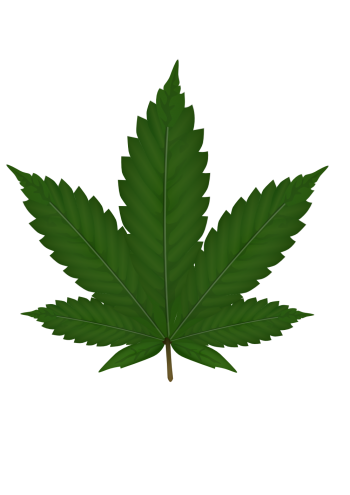大麻 - PNG派