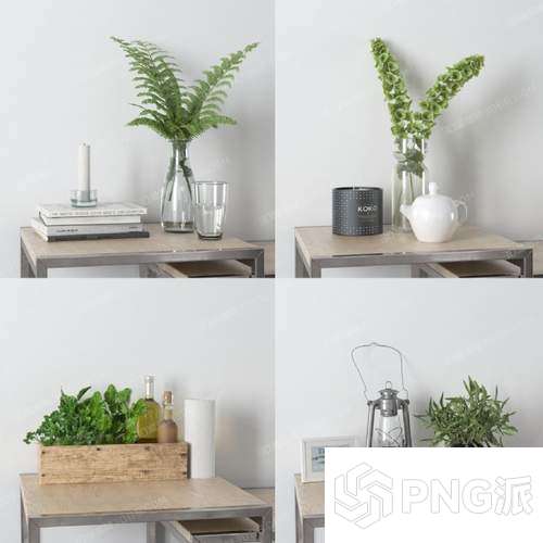 现代绿植盆景3D模型 - PNG派