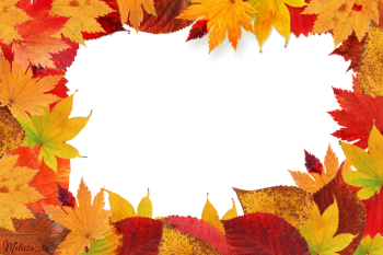 秋天的树叶边框背景 - PNG派