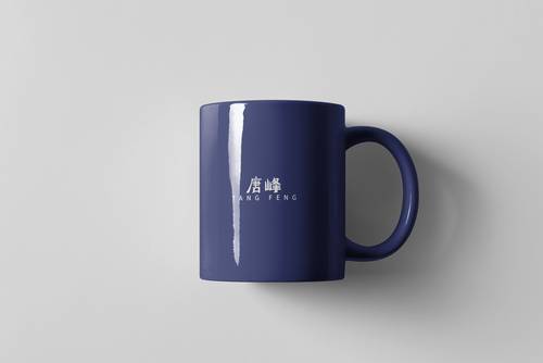 陶瓷马克杯PS样机模板 - PNG派