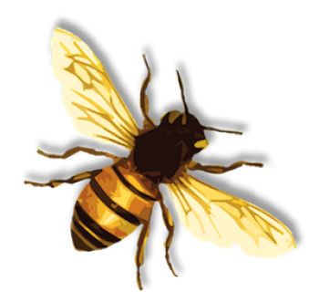 蜜蜂 - PNG派