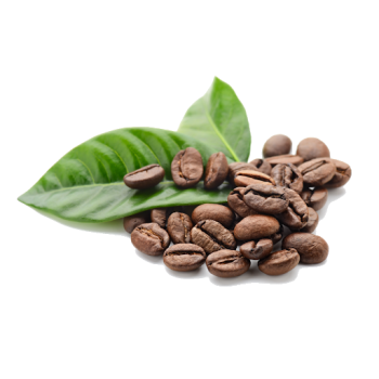 咖啡豆 - PNG派