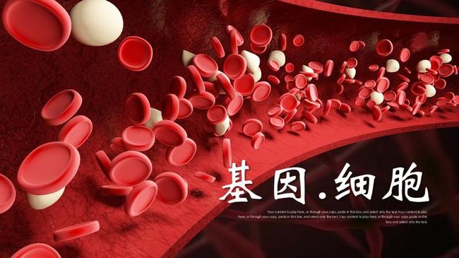 医学研究PPT模板 - PNG派