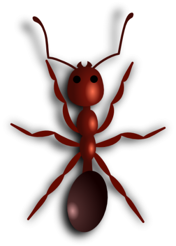 一只蚂蚁 - PNG派
