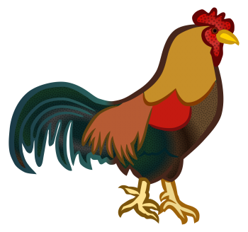 鸡（公鸡） - PNG派
