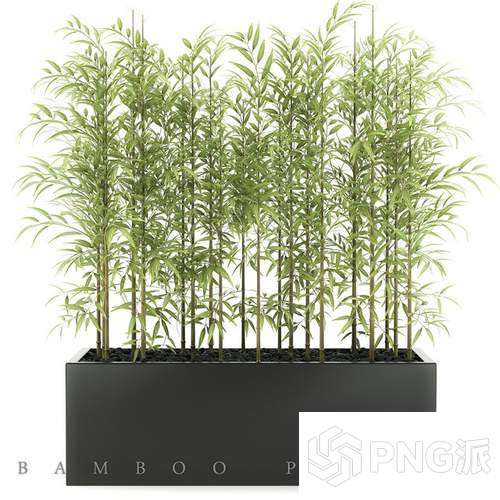 现代绿植盆景3D模型 - PNG派