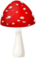 amanita - PNG派