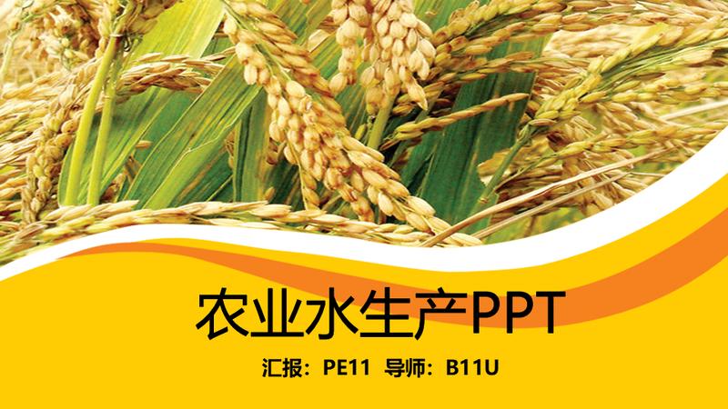 绿色生态农产品招商PPT模板 - PNG派