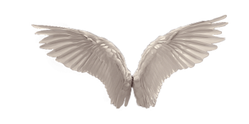 白色天使翅膀 - PNG派
