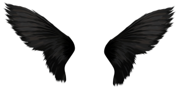 翅膀 - PNG派