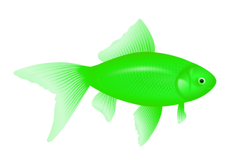 绿色的鱼 - PNG派