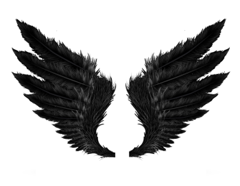 黑色邪恶的翅膀 - PNG派
